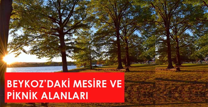 Turkiye Nin En Iyi 10 Piknik Yeri Tak Sepeti Koluna Herkes Piknik Yoluna