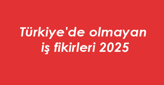 Türkiye'de olmayan iş fikirleri 
